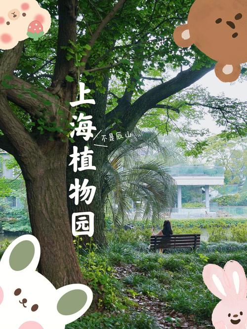 上海植物园门票怎么买_上海植物园优惠票及免票