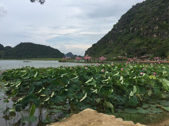 普者黑景区住宿攻略-普者黑景区有住宿吗?