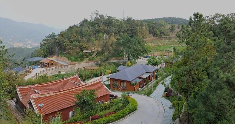 厦门顶上生态风景区_厦门顶上乡村地图