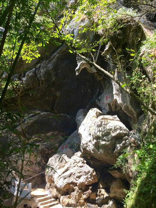 滴水岩森林公园要门票吗_滴水岩生态园