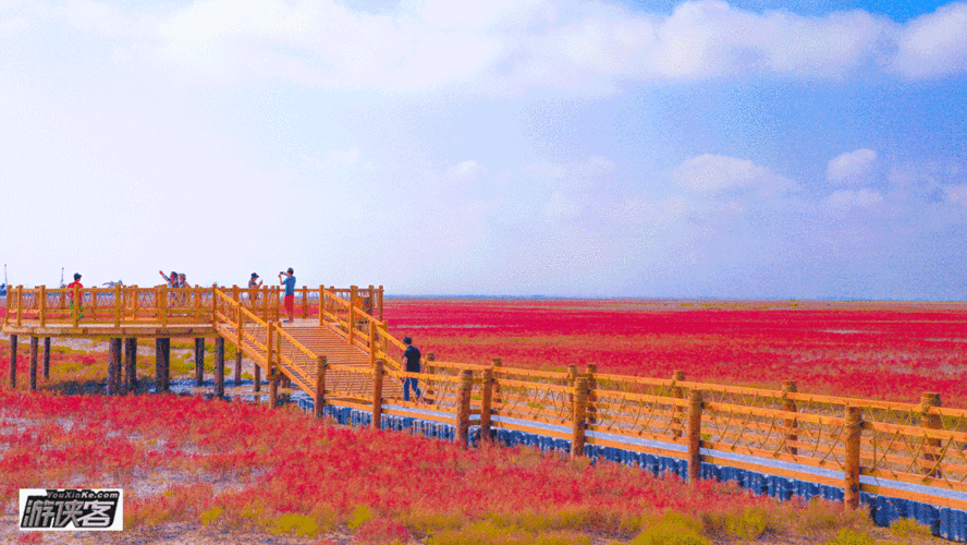 盘锦红海滩门票免费范围-盘锦红海滩门票免费范围有哪些