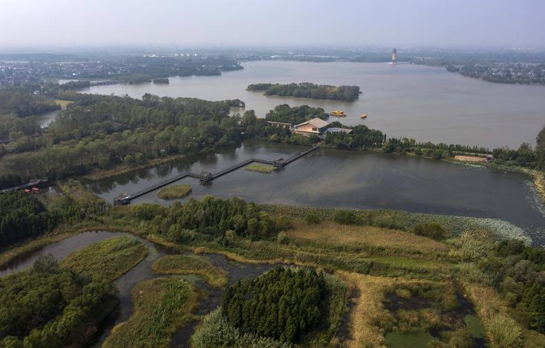 溱湖湿地公园图片_溱湖国家湿地公园风景