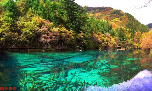 九寨沟有哪些著名景点-九寨沟有哪些著名景点介绍